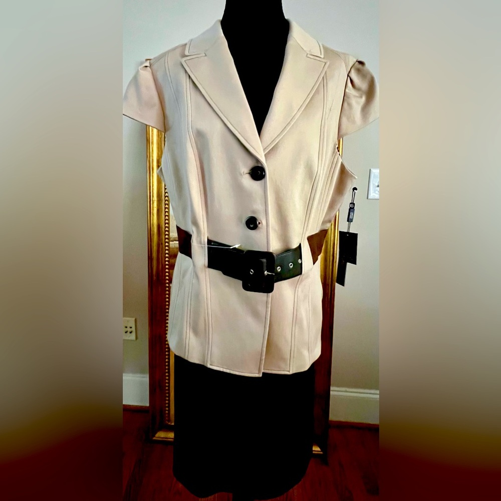 2 Piece Dress Tan and Brown Tailored Dress Tahari ASL